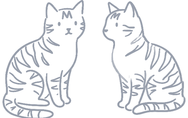 Two tabby cats